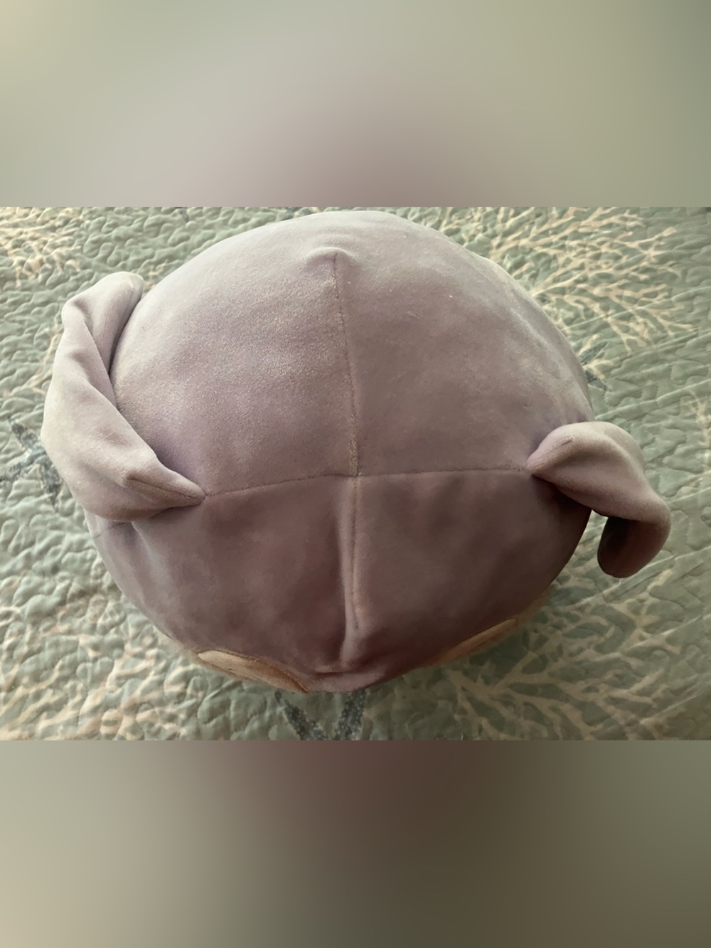 Squishmallows 20” size Rabbit - Picture 4 of 8